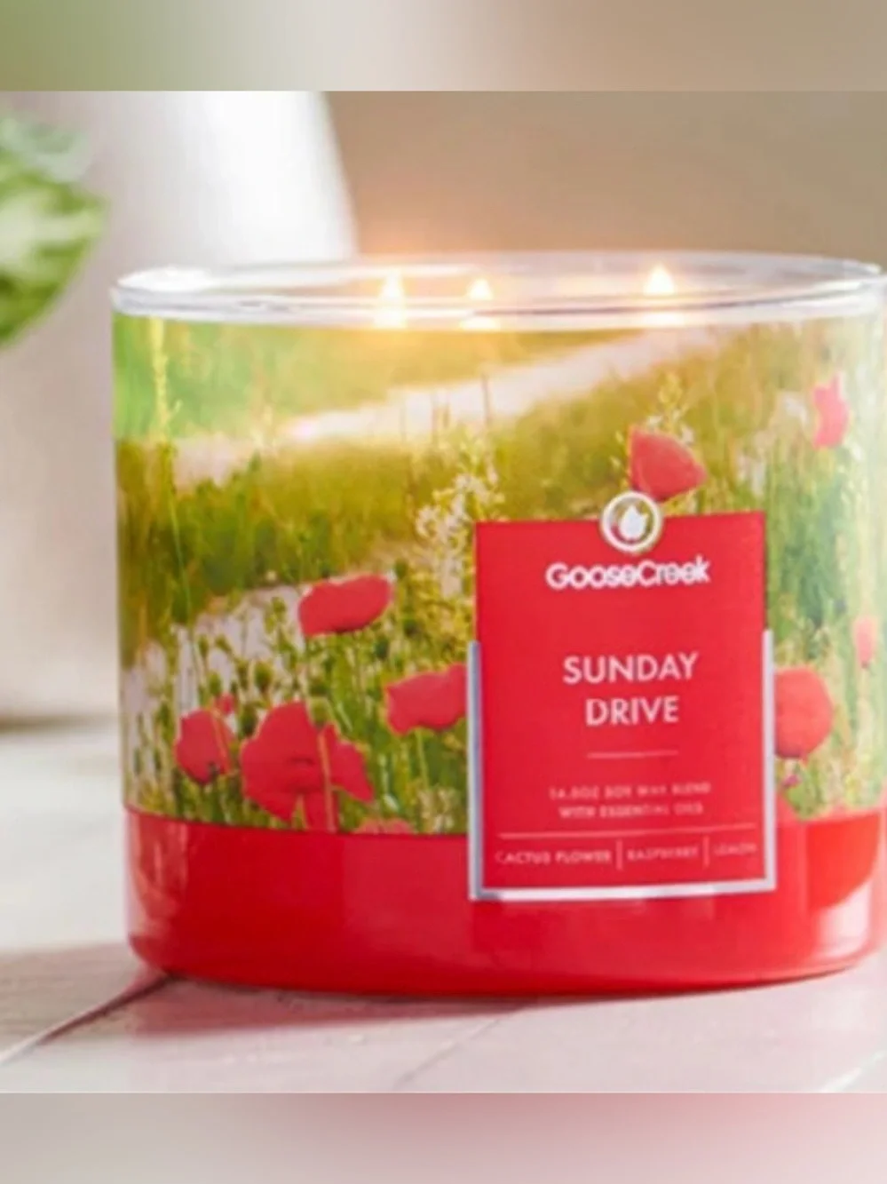 Goose Creek Sunday Drive  3 Wick  Candle 14.5 oz Jar Cactus Flower Raspberry New